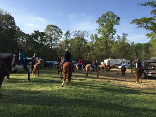 With horses and riders