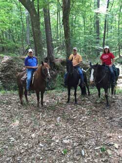 Riders on a trail