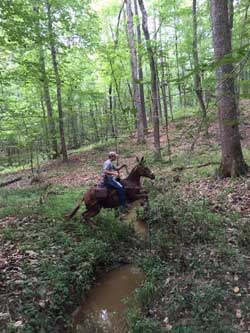 Jumping a stream